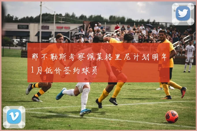 那不勒斯考察佩莱格里尼计划明年1月低价签约球员